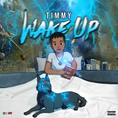 Timmy - Wake Up ( Intro)