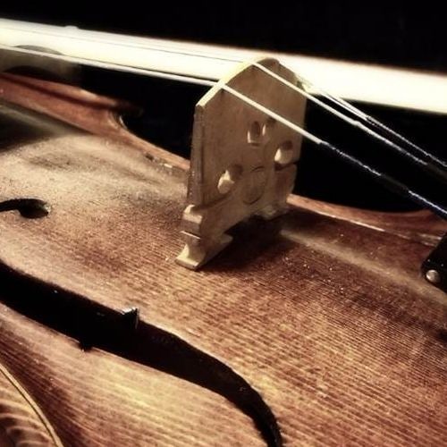 Groove Delight - Violins Space