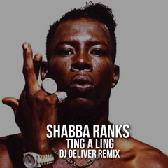 SHABBA RANKS - TING A LING (DJ DELIVER 2018 REMIX)