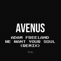 Adam Freeland - We Want Your Soul (Avenus remix)