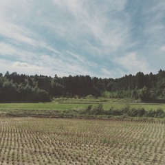 YACHIMATA_181010