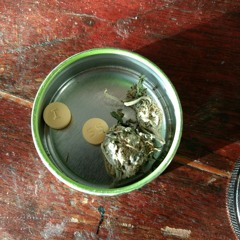 ANSIA __(lil o&frikivoy)