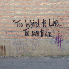 Too Weird? (Instrumental)