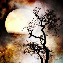 Live @ Moontribe 25-Year Anniversary FMG (Bonus Mix)
