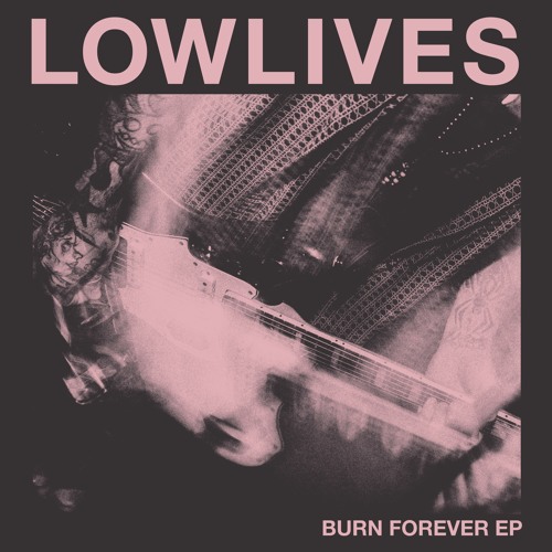 Bands That You Should Check Out.