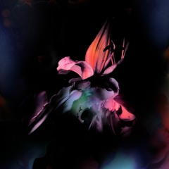 MTNS - Missing Piece