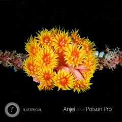 Thunderlab Podcast 033 - Anjei aka Poison Pro