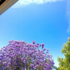 Jonfvrixs x Hollywoodwhyte - Precious ingenuity {Prod. ko}