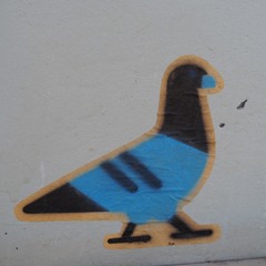 Oakley Sucks At Guitar