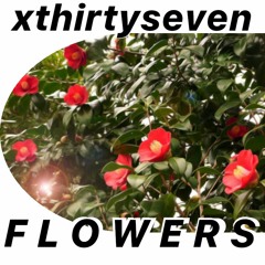 F L O W E R S (prod by xthirtyseven)