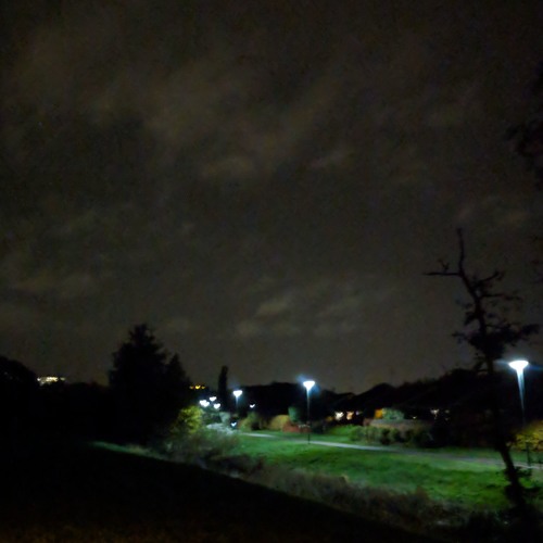 tse080
