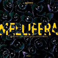 Mellifera - High And Low | Out Now!
