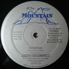 Aaron Broomfield ‎– The Polyphase [Funk] (1983)🇺🇸💎