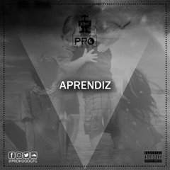 Pro Hood - APRENDIZ