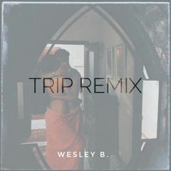 Trip Remix