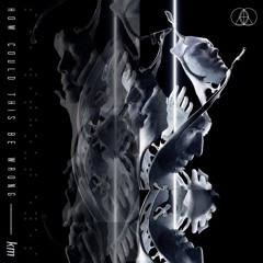 the glitch mob - how could this be wrong (km. remix)