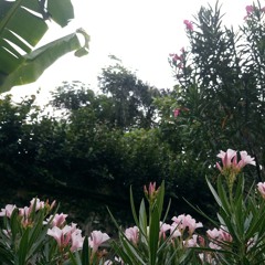 PPUMPUI - เสมอ (electric.neon.lamp) #voice