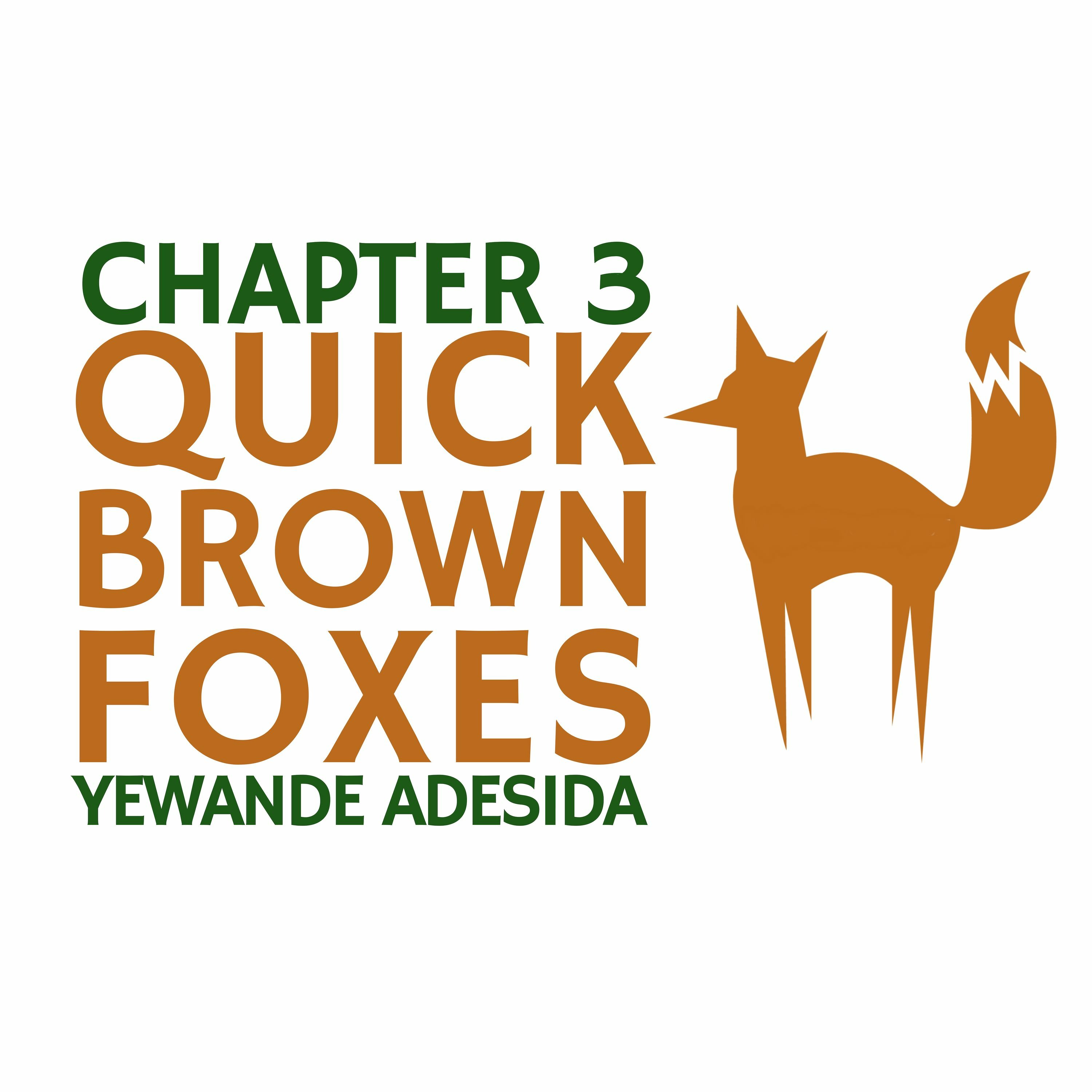Chapter 3: Yewande Adesida