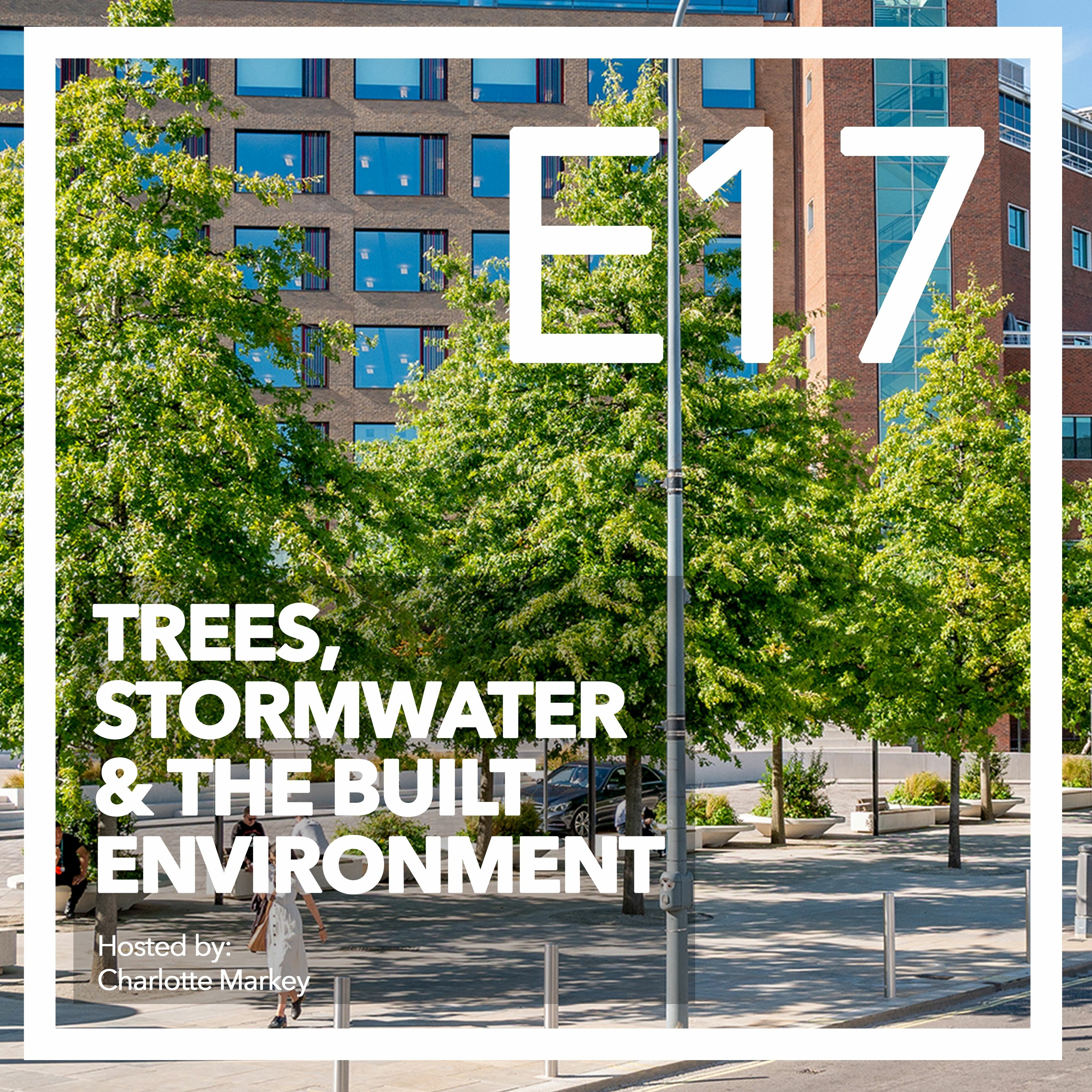 Trees-Stormwater