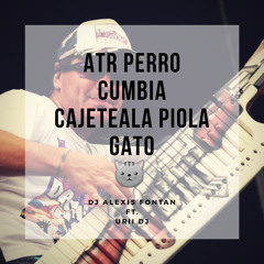 ATR PERRO CUMBIA CAJETEALA PIOLA GATO ✘ REMIX ✘ DJ ALEXIS FONTAN Ft. URii DJ