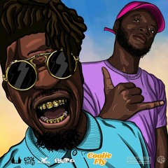 Cool Peeple X Pilot P - "Coolie Fly"