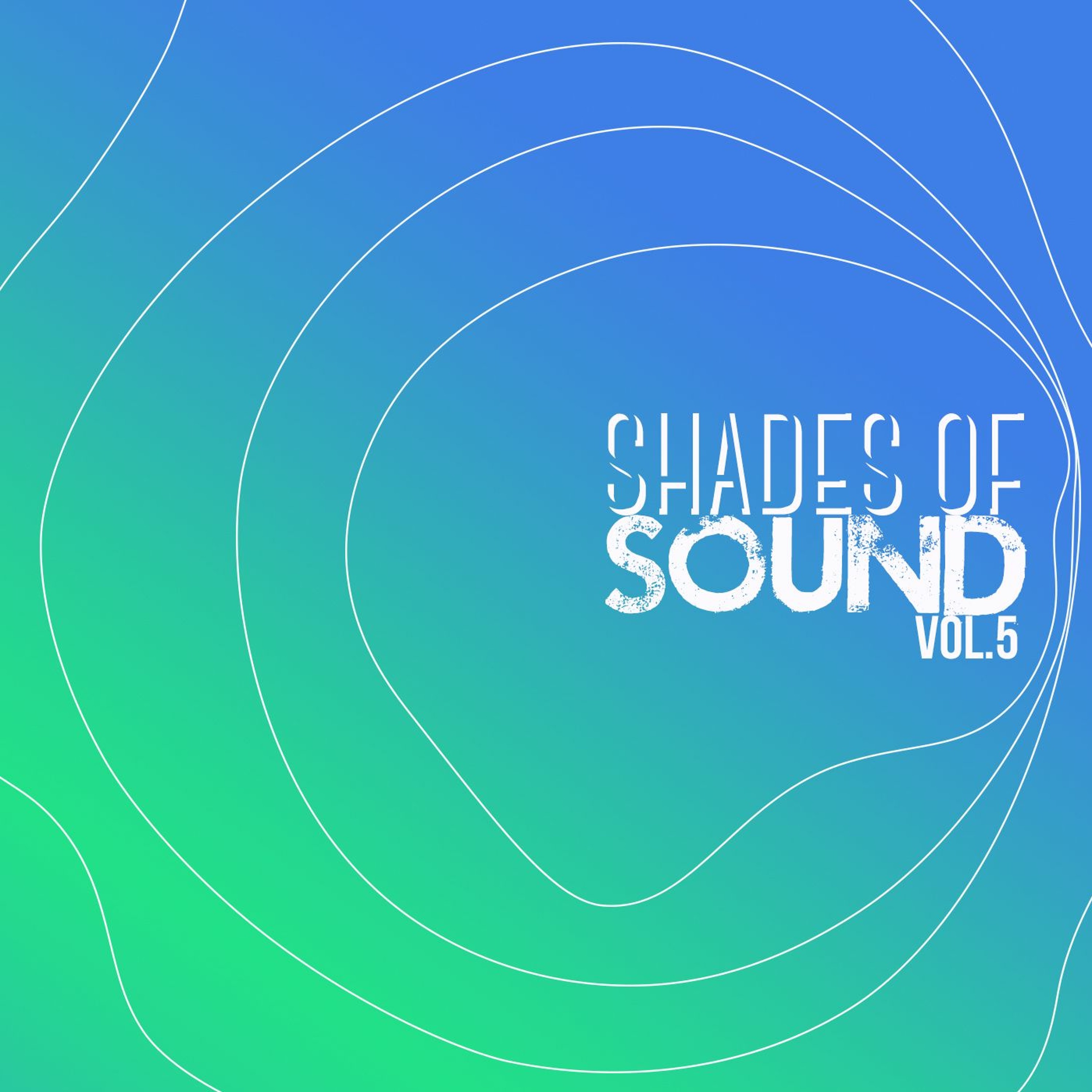 Joe Morris / Shades Of Sound