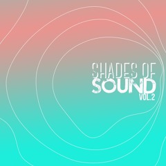 Joe Morris l Shades of Sound Vol.2