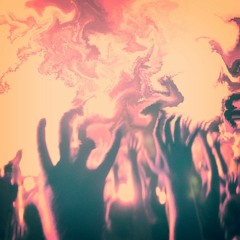 night is a venomous flesh