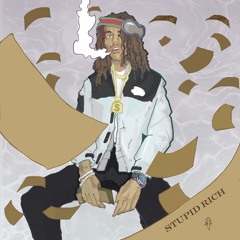 Stupid Rich (Prod. QRichBeatz & VillaBeatz)