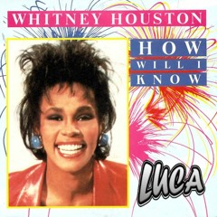 Whitney Houston - How Will I Know (Luca Bootleg) *Free DL*