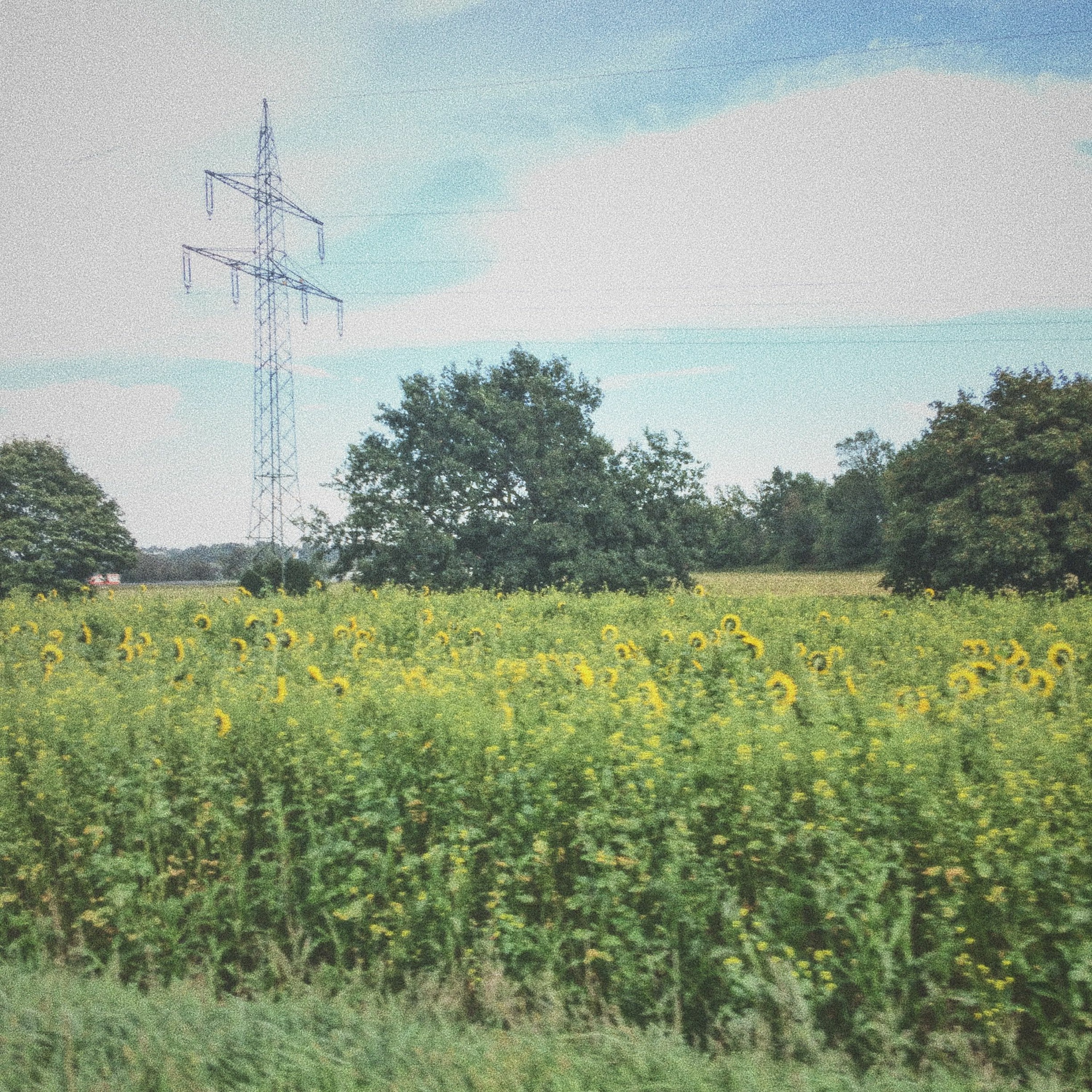 oilcolor