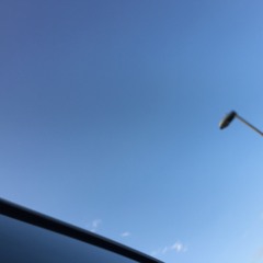 You Are The Joy Of My Life (Demo)