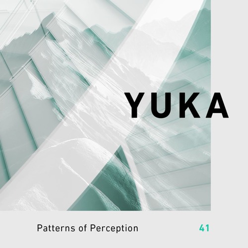 patterns of perception