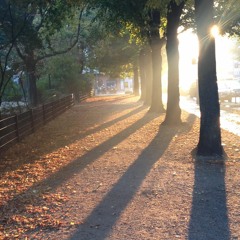 My Lord Willoughby's Welcome Home - John Dowland