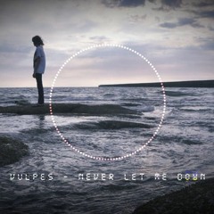 Vulpes - Never Let Me Down