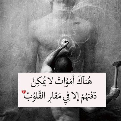 بكر رافع - شوف شصار 2013  Bakr Rafaa - Shof Ashsar 2013