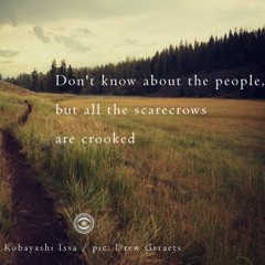 Haiku #249: Don't know about the people, / but all the scarecrows / are crooked