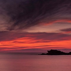 ++ fall clips pt. 1  w/ @antvstheworld & @oscar1hunna