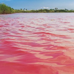 Pink Water