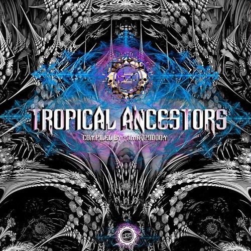 Shamanic Invocation 220 V.A Tropical Ancestors by Paleolithic Records