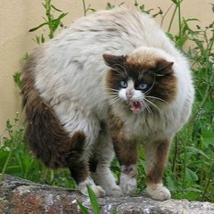 The Biggest Geek Beatmix 2 (2)