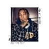 Tyga Ft Offset Taste Ulation Flip Mp3