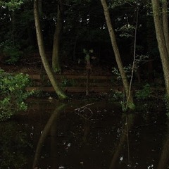 晩夏(構成完成版)