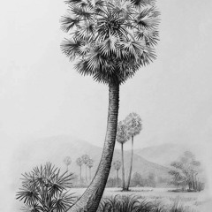 នេះគឺកំហុសខ្ញុំ  មាស ម៉េងហ៊ាង