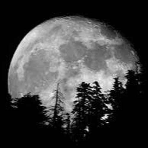 Connewitz Moonrise Mixed By Sebastian Sandmann