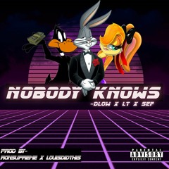 NOBODY KNOWS ft. DLOW x SEF (prod by RONSUPREME X LOUISDIDTHIS)