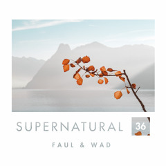 Supernatural 36 by Faul & Wad