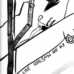 Je n'ai jamais aimé