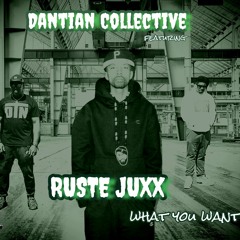 Dantian Collective Feat. Ruste Juxx - What You Want