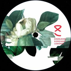 B2. Einzelkind & Giuliano Lomonte - Last Drink (Sub Mix) [AKU011]